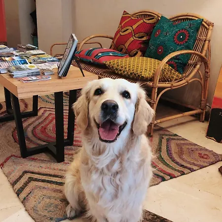 San Miguel Hotell Gijón