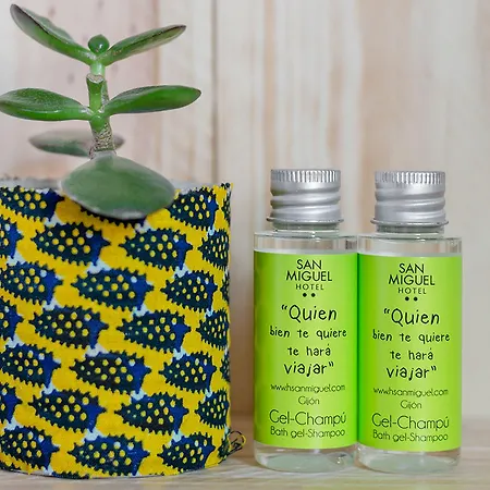 호텔 산 미구엘 기욘