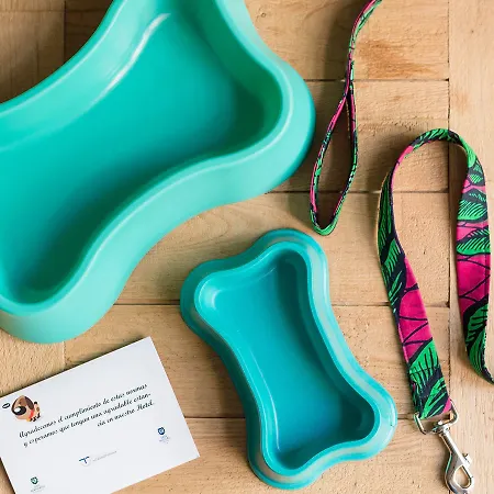 호텔 산 미구엘