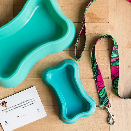 산 미구엘 기욘