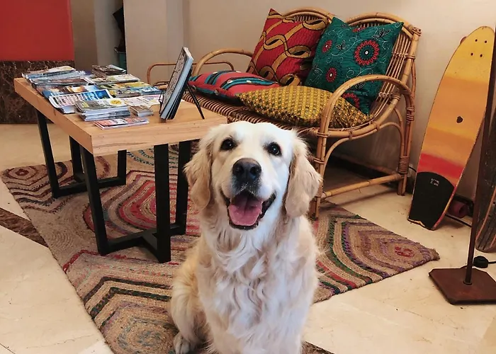 San Miguel Hotel Gijón